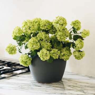 Afloral Faux Snowball Flower Stem - Realistic Green Decor