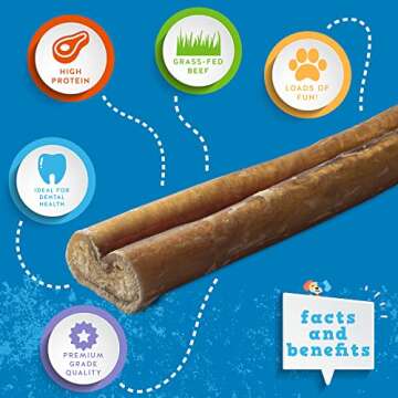 Jack&Pup Thick Bully Sticks 12 Inch Premium Dog Bully Sticks for Large Dogs Aggressive Chewers - All Natural Bully Sticks Odor Free 12" Large Bully Sticks, Long Lasting Dog Chews Bully Stick (5 Pack)