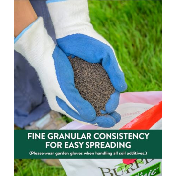 Burpee Organic Tomato & Vegetable Granular Plant Food 4 lb