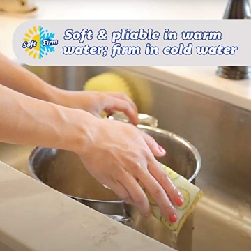 Scour Daddy Scour Pads - Odor Resistant, Multi-Surface Cleaning