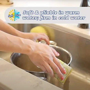 Scour Daddy Scour Pads - Odor Resistant, Multi-Surface Cleaning