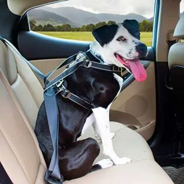 Kurgo Crash Tested Dog Car Harness for Safe Travels