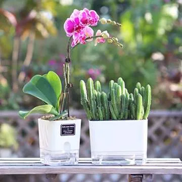 FAMZ Self Watering Planters 4 Pack，Self Watering Pots for Indoor Plants，Automatic Moisturizing，Transparent Square Flower Pot for Indoor and Outdoor Plants，Succulents，Violets，Ivy