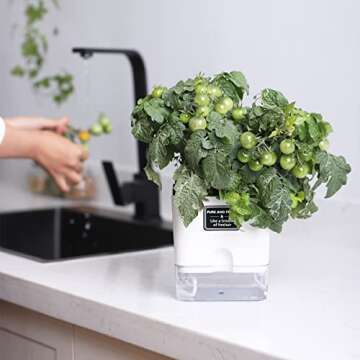 FAMZ Self Watering Planters 4 Pack，Self Watering Pots for Indoor Plants，Automatic Moisturizing，Transparent Square Flower Pot for Indoor and Outdoor Plants，Succulents，Violets，Ivy