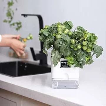 FAMZ Self Watering Planters 4 Pack，Self Watering Pots for Indoor Plants，Automatic Moisturizing，Transparent Square Flower Pot for Indoor and Outdoor Plants，Succulents，Violets，Ivy