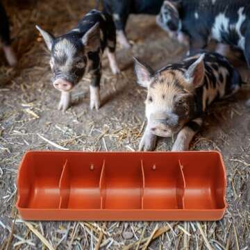 Pig Feeder Plastic Feed Troughs For Pigs : 5 Compartment Pig Trough Feeder Fence Feeder For Goat Pig...
