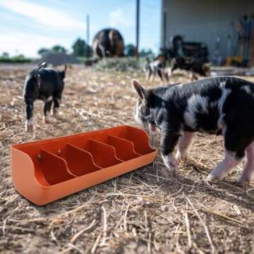 Pig Feeder Plastic Feed Troughs For Pigs : 5 Compartment Pig Trough Feeder Fence Feeder For Goat Pigs Livestock