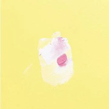 DAP DryDex Spackling: Fast, Reliable Wall Repairs