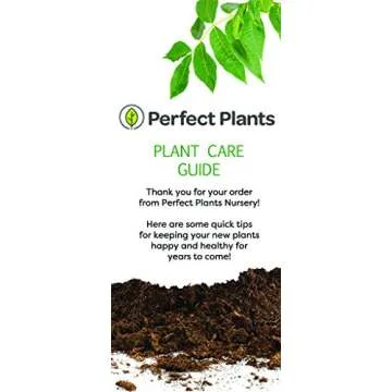 Pineapple PEAR Tree - Size: 3-4 ft, Live Plant, Includes Special Blend Fertilizer & Planting Guide