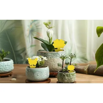 36 Pcs Non-Toxic Sticky Traps for Indoor and Outdoor Pests