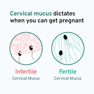 kegg Fertility Tracker + Free Fertility App | Discover Your Most Fertile Days | No Recurring costs | Predicts Fertile Window | Helps Exercise Pelvic Floor Muscles