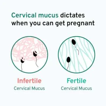 kegg Fertility Tracker + Free Fertility App | Discover Your Most Fertile Days | No Recurring costs | Predicts Fertile Window | Helps Exercise Pelvic Floor Muscles