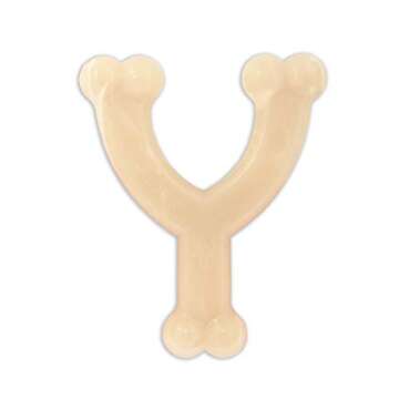 Durable Nylabone Wishbone Chew Toy for Aggressive Chewers
