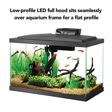 Aqueon 10 Gallon Fish Tank Starter Kit with LED Lighting