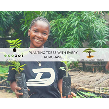 Ecozoi Stainless Steel Popsicle Molds for Healthy Treats