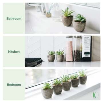KORVEA 5 Artificial Succulent Plants for Home Decor