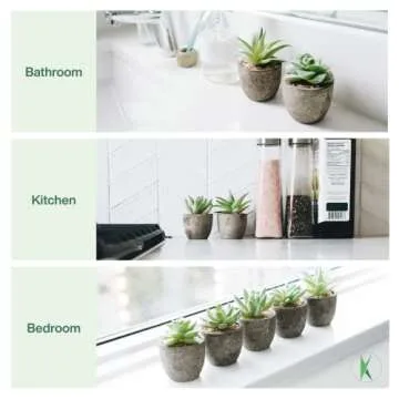 KORVEA 5 Artificial Succulent Plants for Home Decor