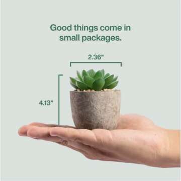 KORVEA 5 Artificial Succulent Plants for Home Decor