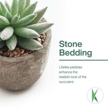 KORVEA 5 Artificial Succulent Plants for Home Decor