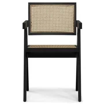 Regina Dining Arm Chair Set for Modern Homes - 2 Pack