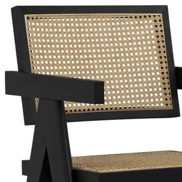 Regina Dining Arm Chair Set for Modern Homes - 2 Pack