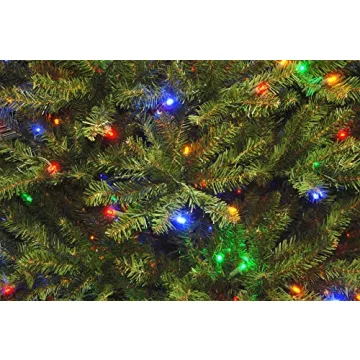 National Tree Company Pre-Lit Artificial Full Christmas Tree, Green, Dunhill Fir, Dual Color LED Lights, Includes Stand, 9 Feet