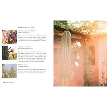 At Home in Joshua Tree: A Field Guide to Desert Living