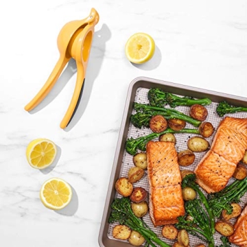 OXO Good Grips Citrus Squeezer for Fresh Lemon Lime Juice