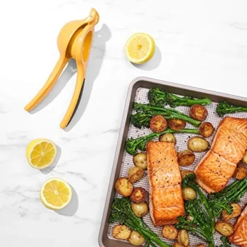 OXO Good Grips Citrus Squeezer for Fresh Lemon Lime Juice