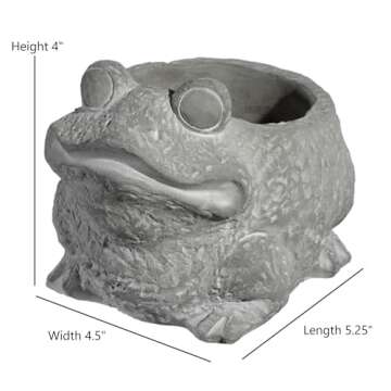 Classic Home and Garden Cement Buddies Indoor Outdoor Planter with Drainage Hole, Frog, Natural Gray, Small, 6in