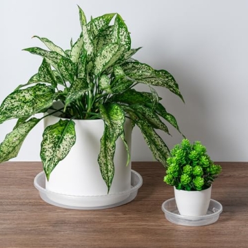 Durable Hoewina Plant Saucer 6 Pack 12 Inch