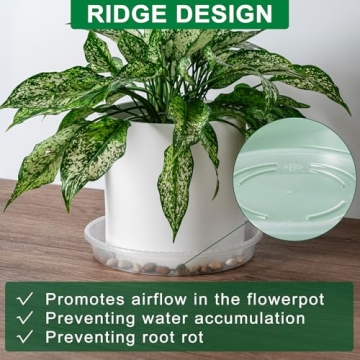 Durable Hoewina Plant Saucer 6 Pack 12 Inch
