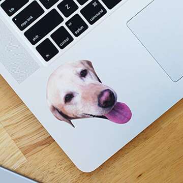 Custom Face Stickers, Photo Stickers, Stickers of Your Face, Sampler Sheet - 5 Sheets - Pet Gift, Stocking Stuffer
