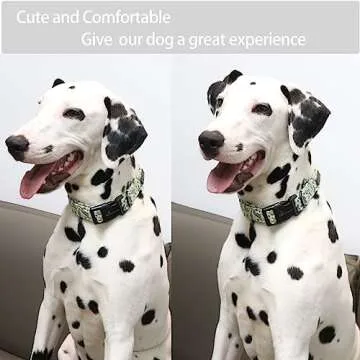 ARING PET Dinosaur Dog Collar-Cute Dog Collar for Small Dogs, Adjustable Comfortable Cotton Boy Dog Collars for Small Medium Large Dogs, Medium