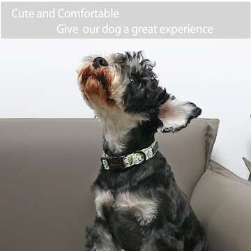 ARING PET Dinosaur Dog Collar-Cute Dog Collar for Small Dogs, Adjustable Comfortable Cotton Boy Dog Collars for Small Medium Large Dogs, Medium