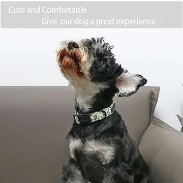 ARING PET Dinosaur Dog Collar-Cute Dog Collar for Small Dogs, Adjustable Comfortable Cotton Boy Dog Collars for Small Medium Large Dogs, Medium