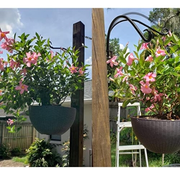 Maosen 16 Inch Swivel Plant Hangers for Garden Decor