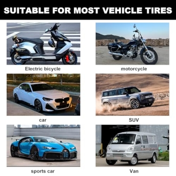 Richcat Tubeless Tire Repair Kit for Cars and Motorcycles