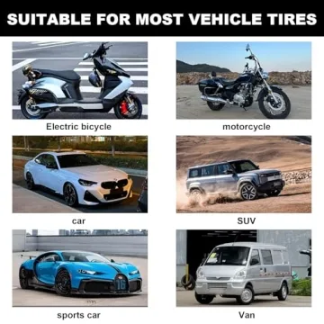 Richcat Tubeless Tire Repair Kit for Cars and Motorcycles