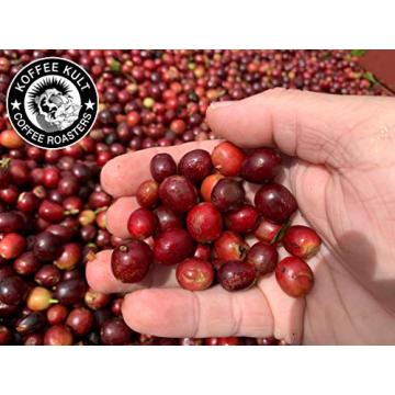 Koffee Kult Medium Roast Whole Coffee Beans - Smooth Flavor
