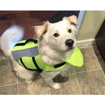 VIVAGLORY Dog Life Jacket with Reflective Trims & Float
