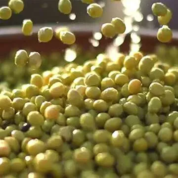 innisfree Fermented Soybean Firming Energy Oil Face Moisturizer, 1 Fl Oz (Pack of 1)