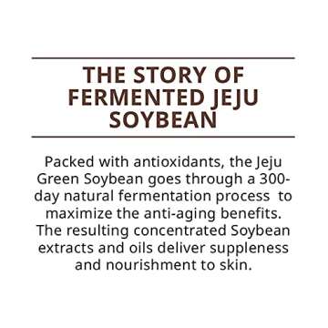 innisfree Fermented Soybean Firming Energy Oil Face Moisturizer, 1 Fl Oz (Pack of 1)