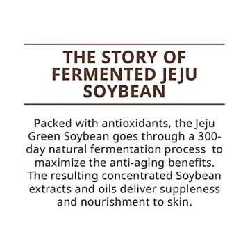 innisfree Fermented Soybean Firming Energy Oil Face Moisturizer, 1 Fl Oz (Pack of 1)