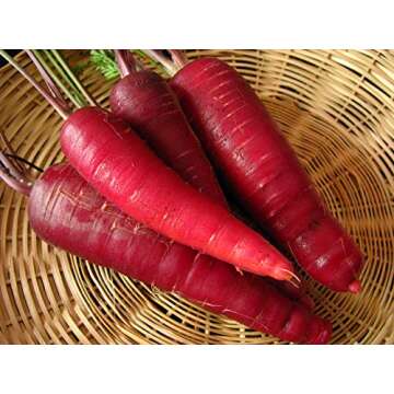 200+ Cosmic Purple Carrot Seeds - Healthy & Vibrant Heirloom Variety