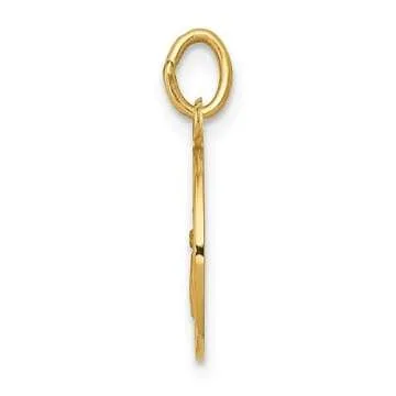 IceCarats 14K Gold Guardian Angel Medal Necklace