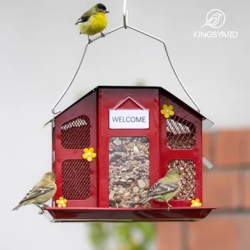 Durable Kingsyard Wild Bird Feeder - Attract Beautiful Birds