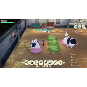 Story of Seasons Grand Bazaar Nintendo Switch Adventure