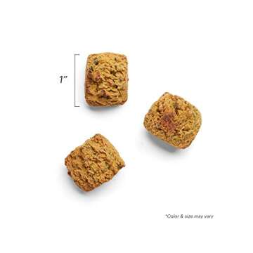 The Honest Kitchen Bone Broth Bites: Roasted with Turkey Bone Broth & Pumpkin, 8 oz Bag