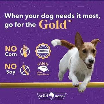 Wild Acre Goat Milk Powder for Dogs - Complete Protein Goat Milk with Nutritional Yeast for Sensitive Stomachs - Gentle Probiotic & Prebiotic Protein for Dogs, Puppies and Cats - 7oz, Goat Milk Gold